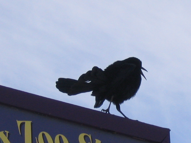 618x457 pixels (101K)